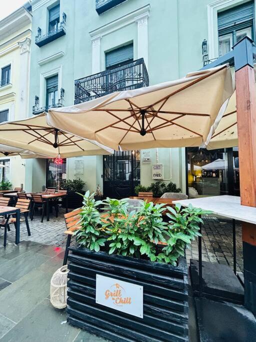 דירות טימישוארה Hidden Gem In The Old Town מראה חיצוני תמונה